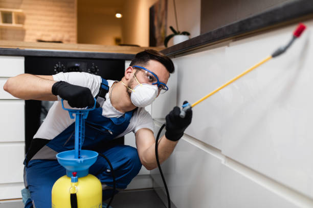 Best Flea Control Services  in Ozark, MO