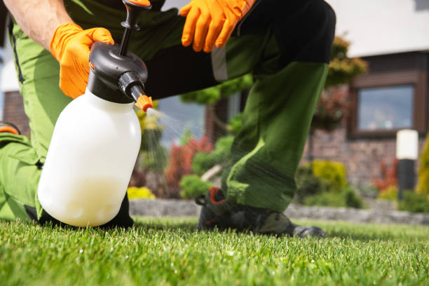 Professional Pest Control in Ozark, MO