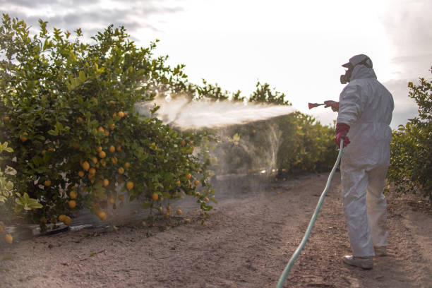 Best Pest Control Treatment  in Ozark, MO