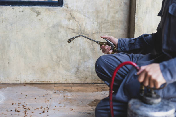 Best Termite Control Services  in Ozark, MO